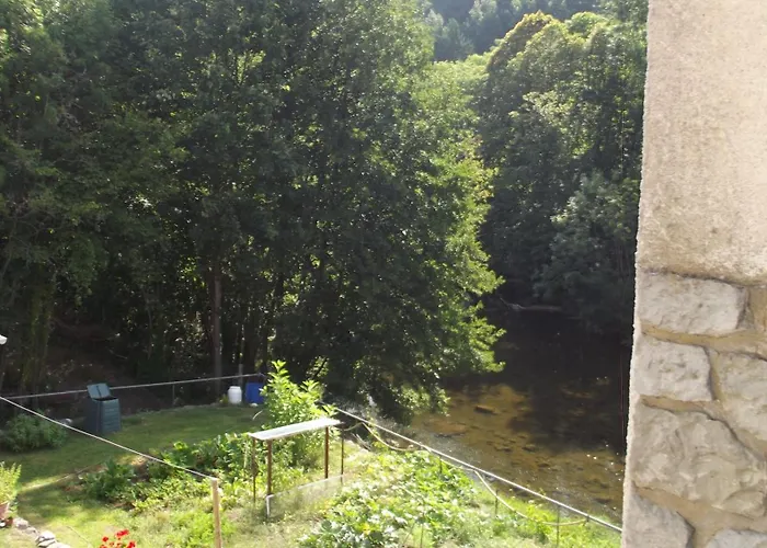 Bord De Riviere *